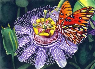 Fritillary Passion
