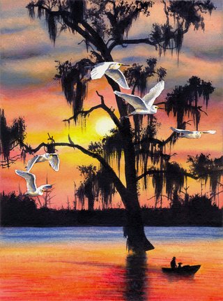 Bayou Sunset