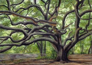Oak McDonough